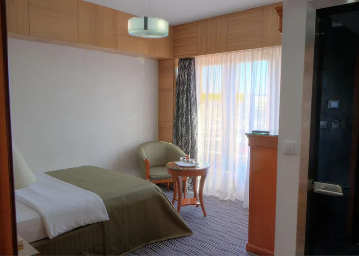 Oltenia Hotel 4*